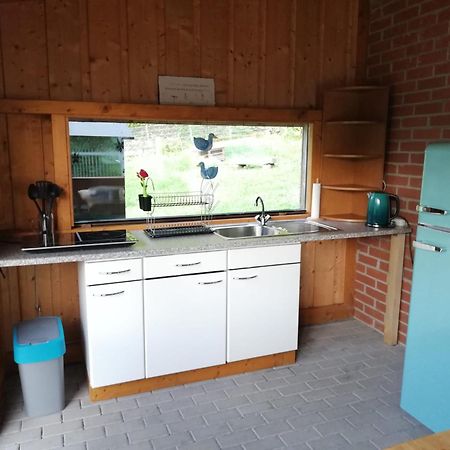 Ferienwohnung Und Sommerhaus Unter Der Burg Falkenberg (Tirschenreuth) Exterior foto