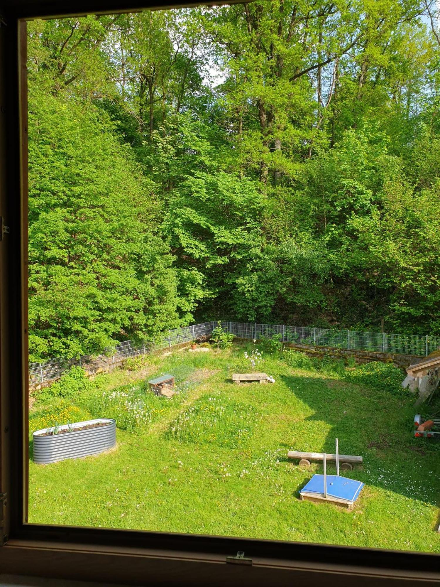 Ferienwohnung Und Sommerhaus Unter Der Burg Falkenberg (Tirschenreuth) Exterior foto